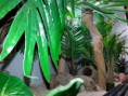 /album/unsere-terrarien/handy-094-jpg/